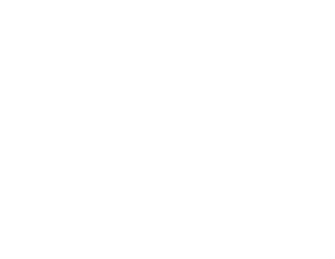 APT Logo